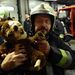A tűzoltók nem halottaznak, inkább azt mondják, hogy az élettel össze nem egyeztethető személyi sérülést szenvedett...