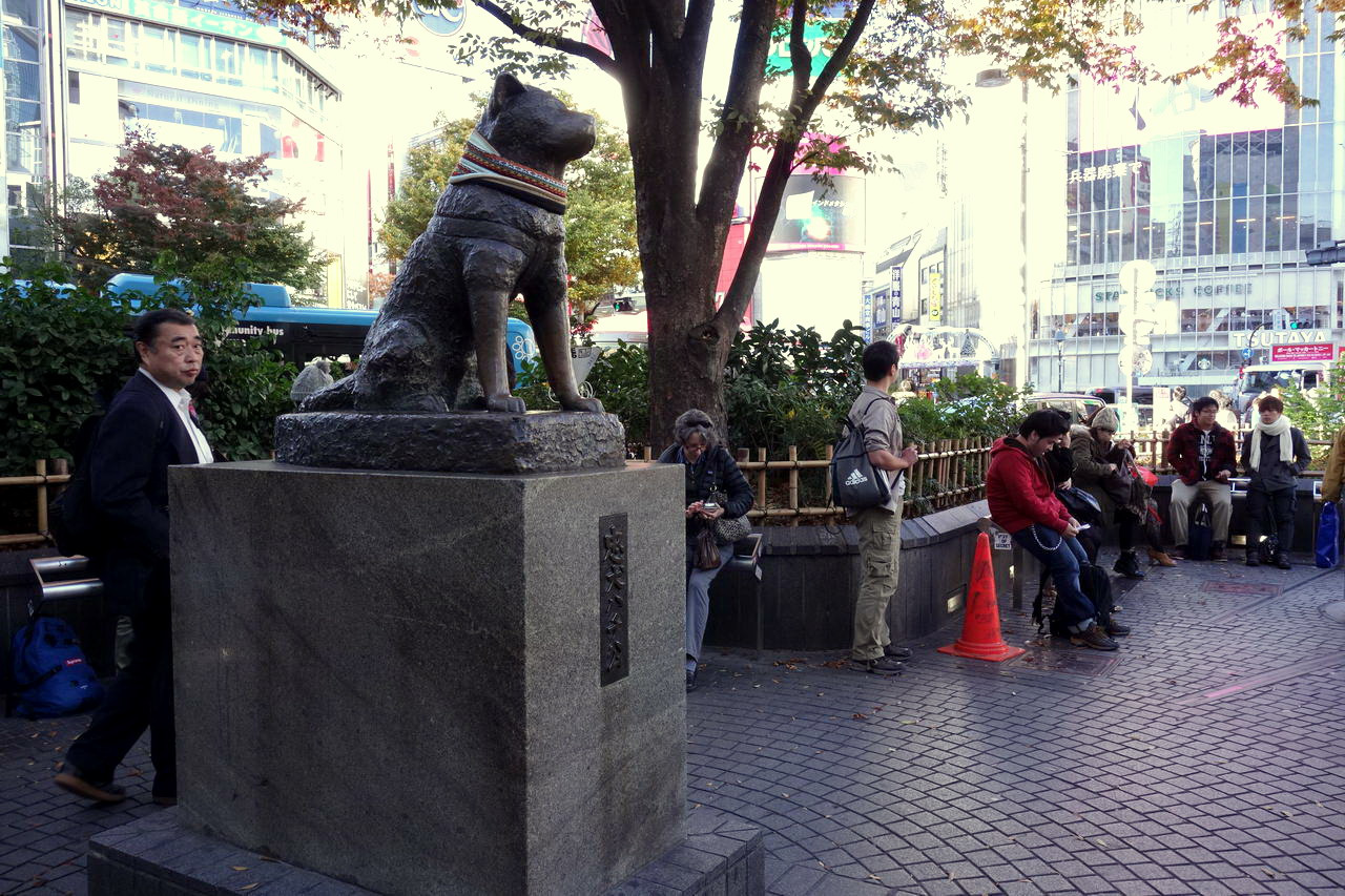 Sokan talán nem is  tudják, hogy a Richard Gere-féle filmbeli Hachiko egy japán kutya volt, a sztoii is japán. Shibuyán ott a szobra, a legismertebb találkahely ez