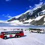Gleccserek igáslova a Terra Bus