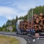 A mifelénk megszokott 16,5 méteres kamion hosszát még kilenccel toldják meg, hogy kijöjjön az úgynevezett extra európai szerelvény
